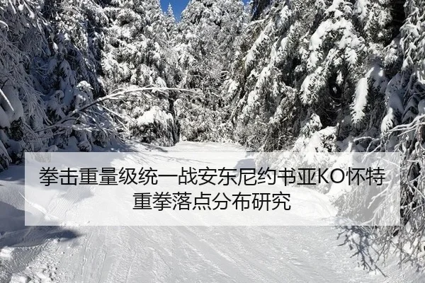 拳击重量级统一战安东尼约书亚KO怀特重拳落点分布研究